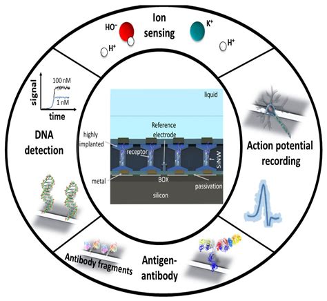 reliable fabrication of metal contacts on silicon nanowire|Process Variability in Top.